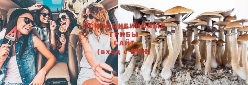 Галлюциногенные грибы MAGIC MUSHROOMS  купить наркотики цена  Людиново 